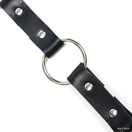 EverydayUse Anal Hook and Kinky Leash 5853 with Collar 0320